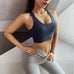 Women's Push-Up Sports Bra – High Impact, Back Closure