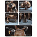 Adjustable Dumbbell Set – Home Gym Equipment
