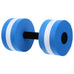 Floating Water Dumbbell – Aquatic Fitness & Resistance Training