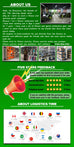 Wrist Support Bands – Gym Protection for Lifting
